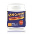 GSN CREATINA 125 (500 G)